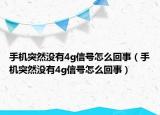 手机突然没有4g信号怎么回事（手机突然没有4g信号怎么回事）