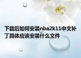 下载后如何安装nba2k11中文补丁具体应该安装什么文件