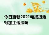 今日更新2021电捕捉蚯蚓加工违法吗