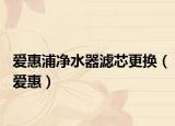爱惠浦净水器滤芯更换（爱惠）