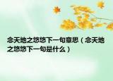念天地之悠悠下一句意思（念天地之悠悠下一句是什么）
