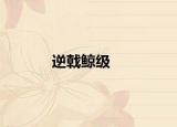 逆戟鲸级
