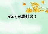 vts（vt是什么）