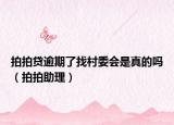 拍拍贷逾期了找村委会是真的吗（拍拍助理）