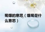 菊爆的意思（爆菊是什么意思）