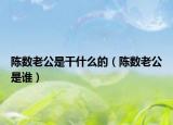 陈数老公是干什么的（陈数老公是谁）