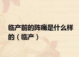 临产前的阵痛是什么样的（临产）