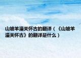 山坡羊潼关怀古的翻译（《山坡羊潼关怀古》的翻译是什么）