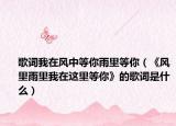 歌词我在风中等你雨里等你（《风里雨里我在这里等你》的歌词是什么）