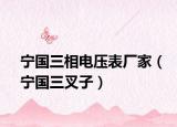 宁国三相电压表厂家（宁国三叉子）
