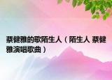 蔡健雅的歌陌生人（陌生人 蔡健雅演唱歌曲）