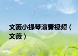 文薇小提琴演奏视频（文薇）