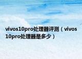 vivos10pro处理器评测（vivos10pro处理器是多少）