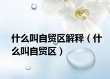 什么叫自贸区解释（什么叫自贸区）