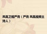 凤凰卫视严青（严青 凤凰视频主持人）