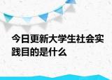 今日更新大学生社会实践目的是什么