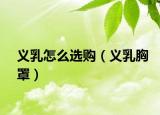 义乳怎么选购（义乳胸罩）