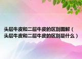 头层牛皮和二层牛皮的区别图解（头层牛皮和二层牛皮的区别是什么）