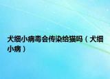 犬细小病毒会传染给猫吗（犬细小病）