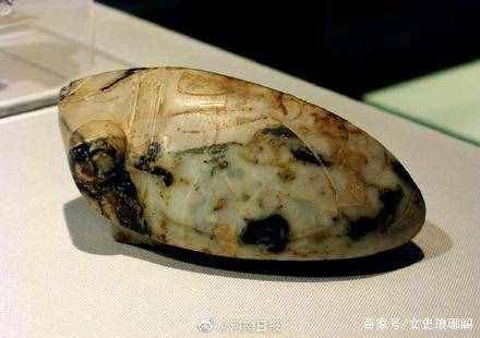 蝉在古代称知鸟或麻吉鸟，属于自带流量的动物