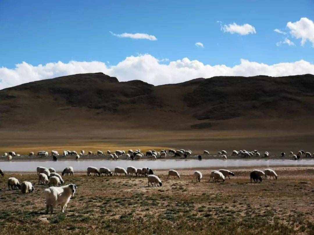 一个人开始蜕变的三种迹象
