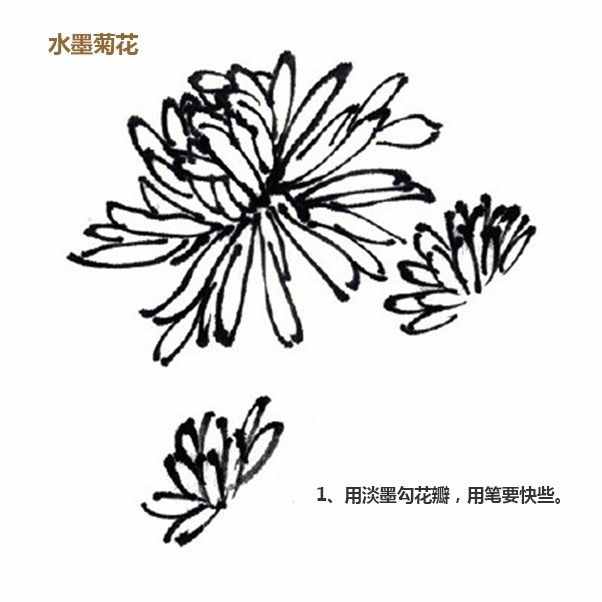 简单三步，教你画水墨画-水墨菊花、桂花、虞美人的绘画步骤
