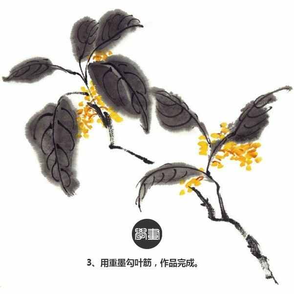 简单三步，教你画水墨画-水墨菊花、桂花、虞美人的绘画步骤