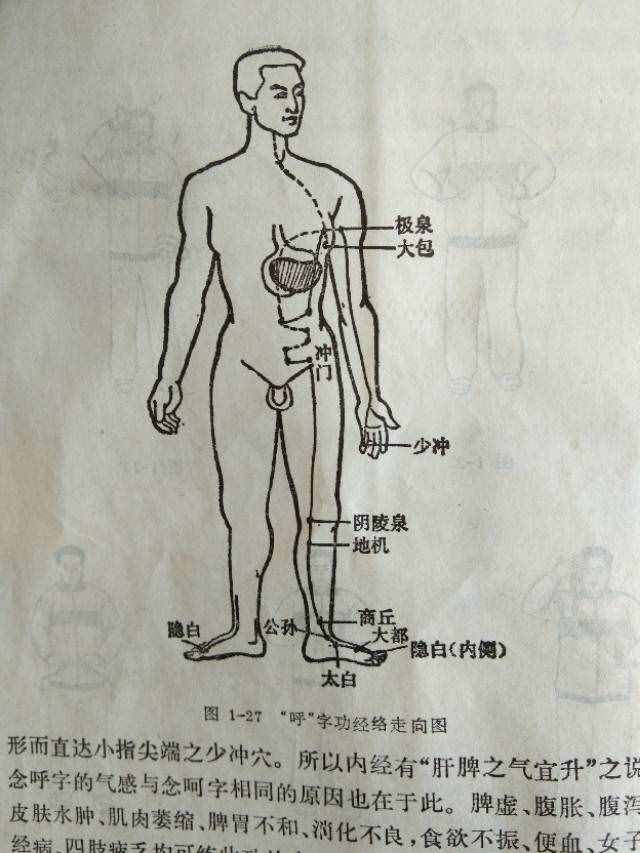 养气功/马礼堂