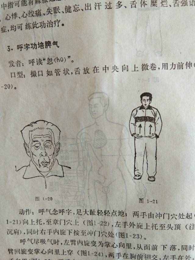 养气功/马礼堂