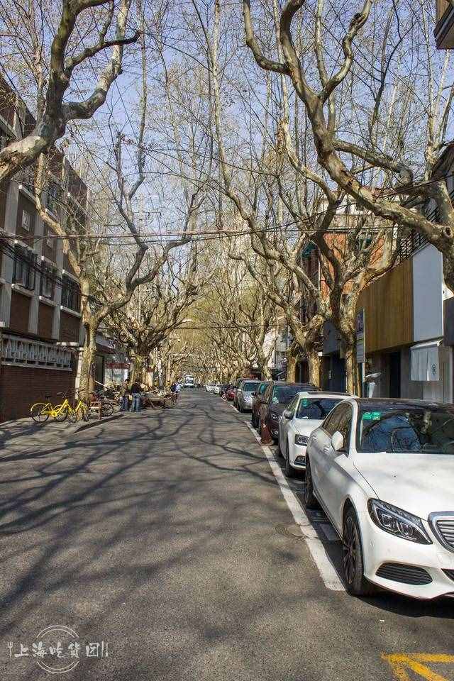 走在张国荣生前最爱的绍兴路，汉源书店已和他一起离开！