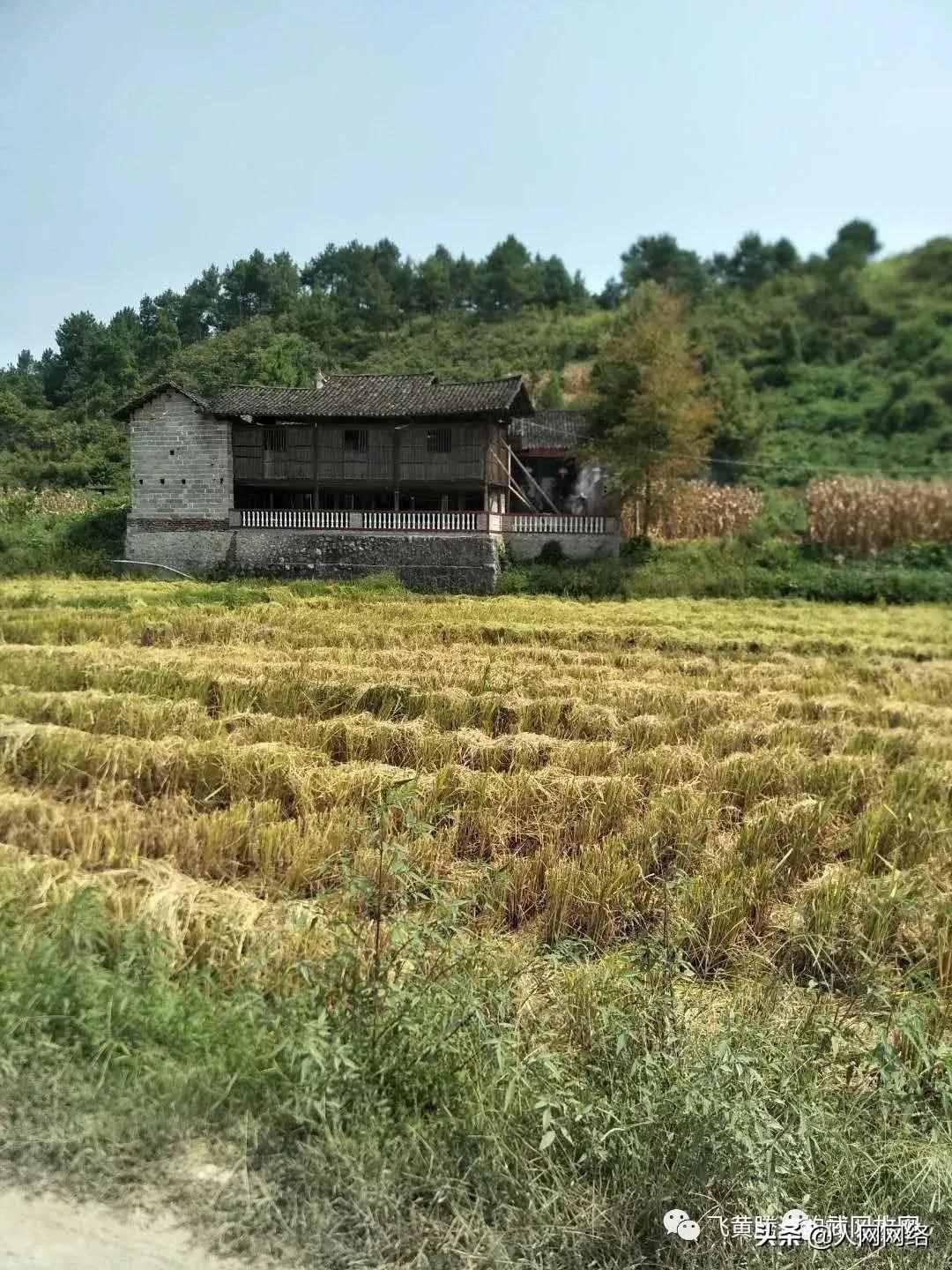 武冈这个地方，自古以来就是风水宝地