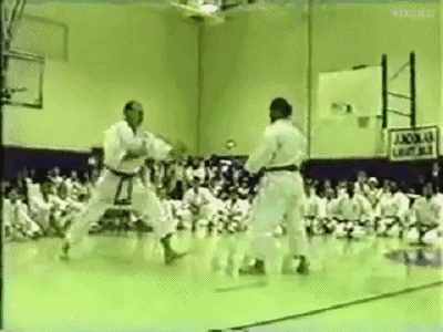 动画（GIF）教学：空手道基本技的练法和实战用法