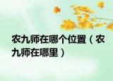 农九师在哪个位置（农九师在哪里）