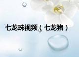 七龙珠视频（七龙猪）
