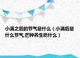 小满之后的节气是什么（小满后是什么节气,芒种养生吃什么）