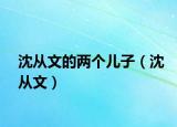 沈从文的两个儿子（沈从文）