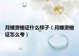 月嫂资格证什么样子（月嫂资格证怎么考）
