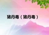 猪丹毒（猪丹毒）