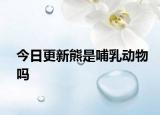 今日更新熊是哺乳动物吗