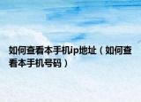如何查看本手机ip地址（如何查看本手机号码）