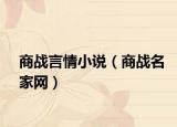 商战言情小说（商战名家网）