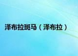 泽布拉斑马（泽布拉）