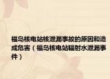 福岛核电站核泄漏事故的原因和造成危害（福岛核电站辐射水泄漏事件）