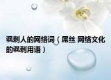 讽刺人的网络词（屌丝 网络文化的讽刺用语）