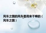 风车之国的风车是用来干嘛的（风车之国）