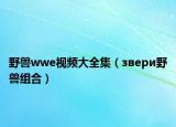 野兽wwe视频大全集（звери野兽组合）