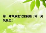 带一片草原去北京视频（带一片风景走）