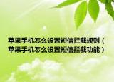 苹果手机怎么设置短信拦截规则（苹果手机怎么设置短信拦截功能）