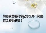 网络安全密码忘记怎么办（网络安全密钥是啥）