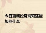 今日更新松茸炖鸡还能加些什么